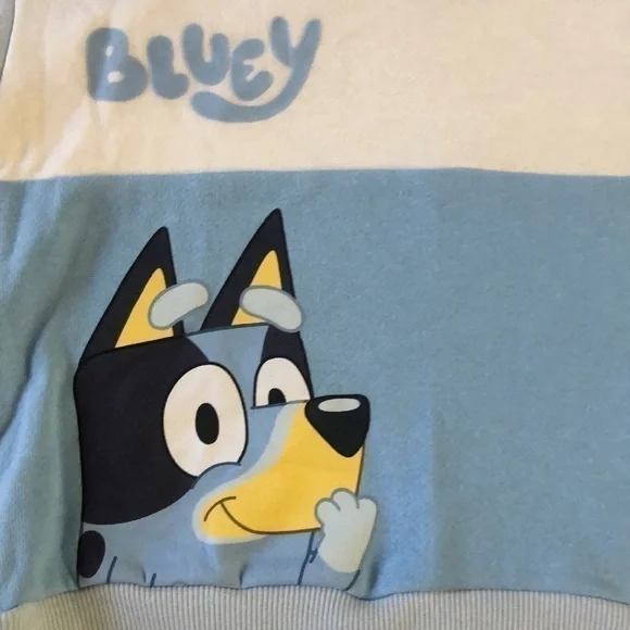 BLUEY Moose Toddler Boy Bluey Sweatshirt Pullover Sweatpants Set Blue Cream 3T - Picture 10 of 17
